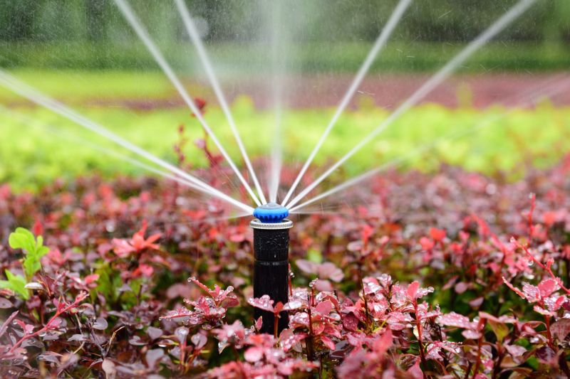 Type of Sprinkler System