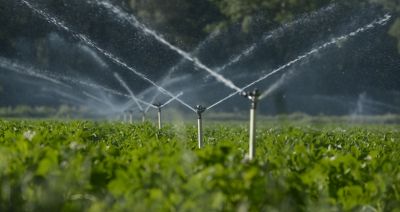 Sprinkler Systems
